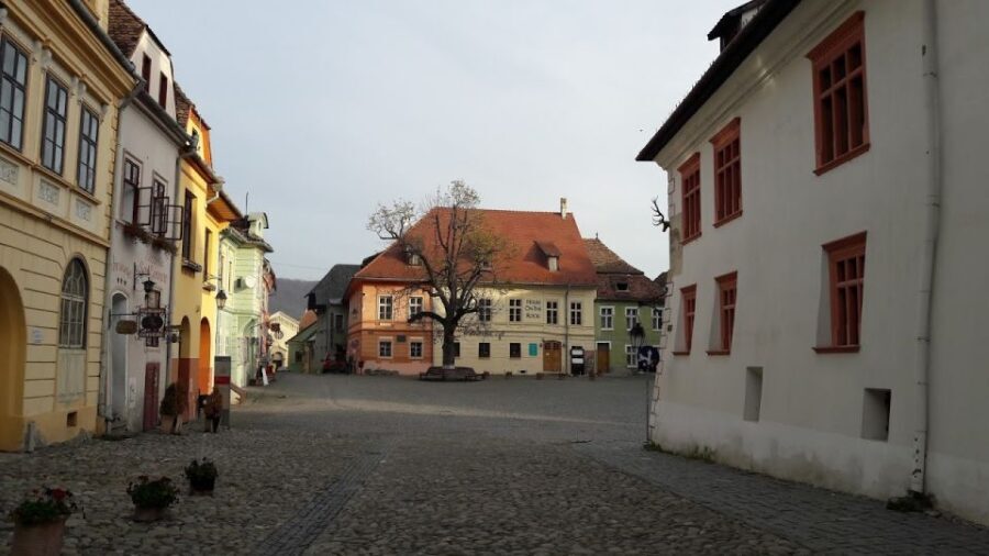Transylvania: Dracula's Castle and Birthplace Tour - Vlad Dracul’s birthplace: the legend’s starting point