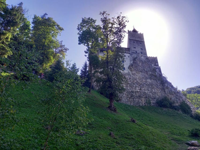 Transylvania: Dracula's Castle and Birthplace Tour - Practical tips to make the day smoother