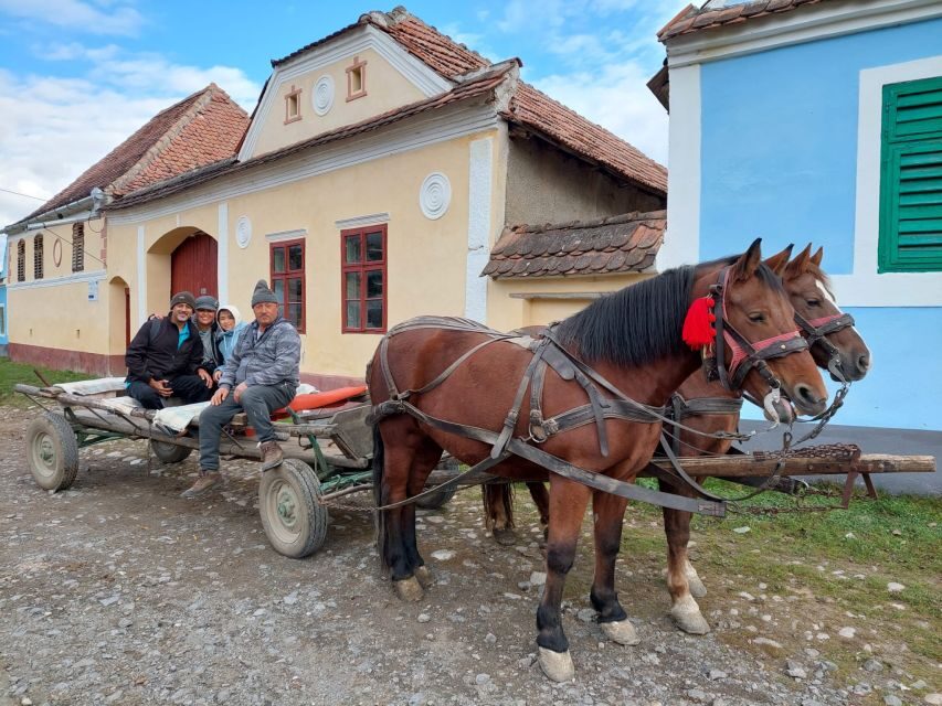 Transylvania Gems: Sighisoara, Medias, Biertan & Gypsy life - Key highlights worth your attention