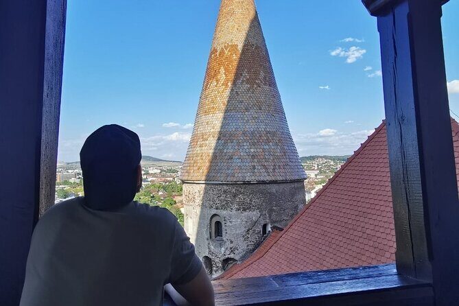 Turda Salt Mine, Corvin Castle and Alba Fortress from Cluj - Stop 3: Alba Iulia Fortress (Alba Carolina) and Romania’s 1918 unification moment (about 2 hours)