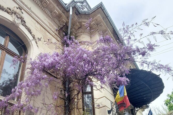 Unique Tour of Hidden Bucharest - Refreshment Breaks and Snacks: What’s Actually Included