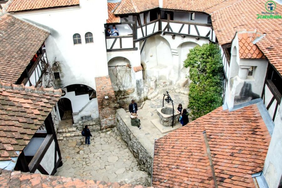 Visit Bear Sanctuary and Bran Castle from Brasov - Brasov Pickup to Transylvania Road Trip Comfort
