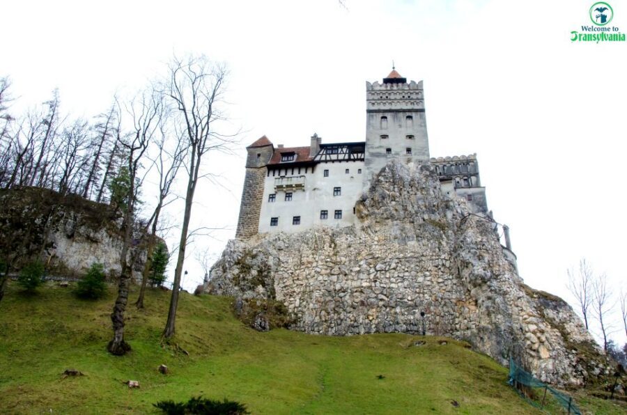 Visit Bear Sanctuary and Bran Castle from Brasov - Timing and Transfers: Where the Day Feels Tight (and Why That’s Okay)