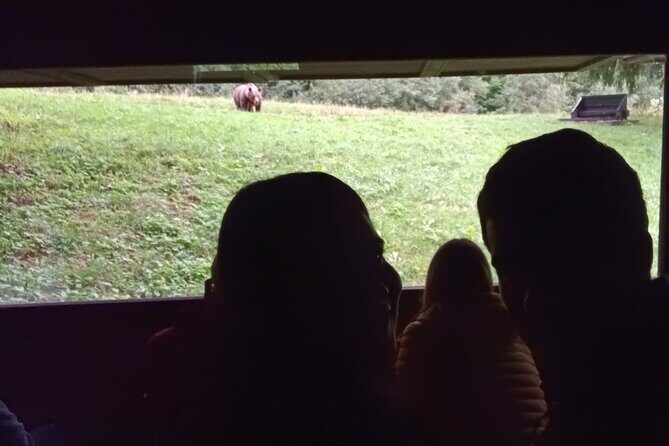 Watching Brown Bear from hideout/ Guarantee you'll see wild Bears - From Brasov at 4:00 pm: the drive to Covasna County