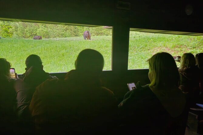 Watching Brown Bear from hideout/ Guarantee you'll see wild Bears - Getting value from $94: what you’re really paying for
